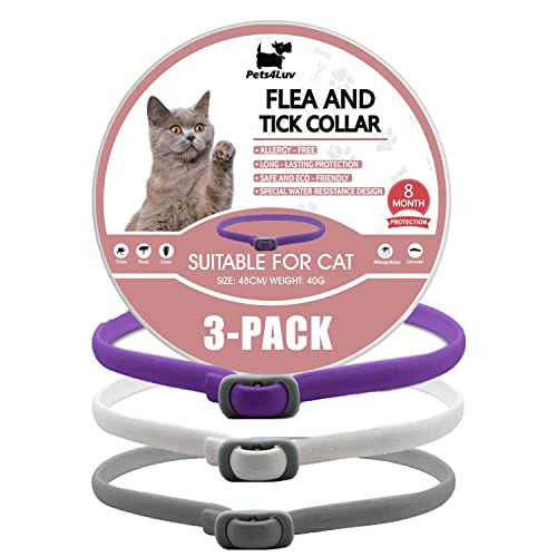 Pets4Luv Zeckenhalsband für Katzen, Einheitsgröße, hergestellt mit ätherischen Ölen, sicher und wirksam zur Floh- und Zeckenbekämpfung, wasserdichtes und abnehmbares Design, 24 Monate Schutz, 3 Stück Pets4Luv Zeckenhalsband für Katzen, Einheitsgröße, hergestellt mit ätherischen Ölen, sicher und wirksam zur Floh- und Zeckenbekämpfung, wasserdichtes und abnehmbares Design, 24 Monate Schutz, 3 Stück von Pets4Luv