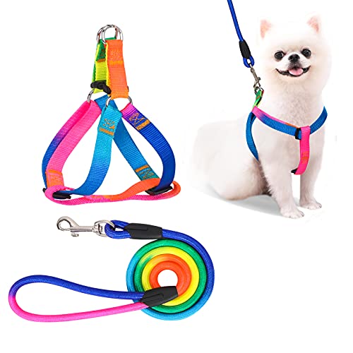 PetsHome Hundegeschirr und Leine, verstellbar, kein Ziehen, sicheres Nylon-Haustiergeschirr mit Leine für Outdoor-Spaziergänge für Hunde, kleine Regenbogenfarben von PetsHome