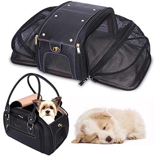 PetsHome Hundetragetasche, Katzentrage, erweiterbar, faltbar, von Fluggesellschaften zugelassenes Leder, Haustier-Reisen, tragbare Tasche für Katzen und kleine Hunde, Zuhause & Outdoor, klein, schwarz PetsHome Hundetragetasche, Katzentrage, erweiterbar, faltbar, von Fluggesellschaften zugelassenes Leder, Haustier-Reisen, tragbare Tasche für Katzen und kleine Hunde, Zuhause & Outdoor, klein, schwarz von PetsHome