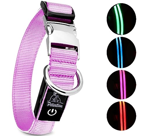 Petsation Leuchthalsband für Hunde [Das Original] Leuchtendes LED Hundehalsband spazieren gehen auch im Dunkeln Lange Akkulaufzeit – Sicher Dank hochwertigem Metallverschluss (Pink, L (48-60 cm)) von Petsation