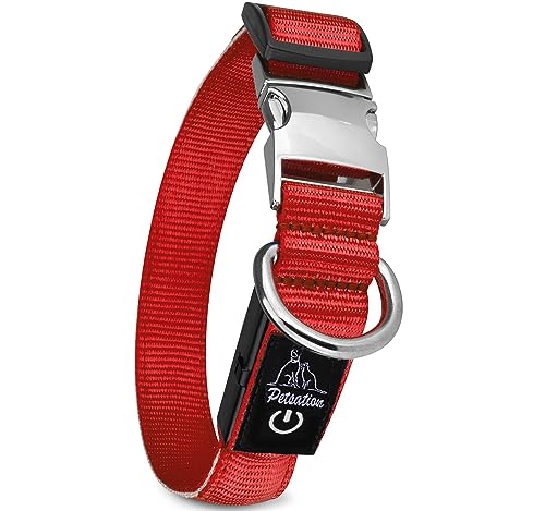 Petsation Leuchthalsband für Hunde [Das Original] Leuchtendes LED Hundehalsband spazieren gehen auch im Dunkeln Lange Akkulaufzeit – Sicher Dank hochwertigem Metallverschluss (Rot, M (38-50 cm)) von Petsation