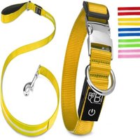 Petsation Leuchthalsband + Leine gelb L von Petsation