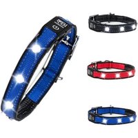 Petsation Leuchthalsband Hundehalsband blau M von Petsation