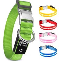 Petsation Leuchthalsband Hundehalsband grün XS von Petsation