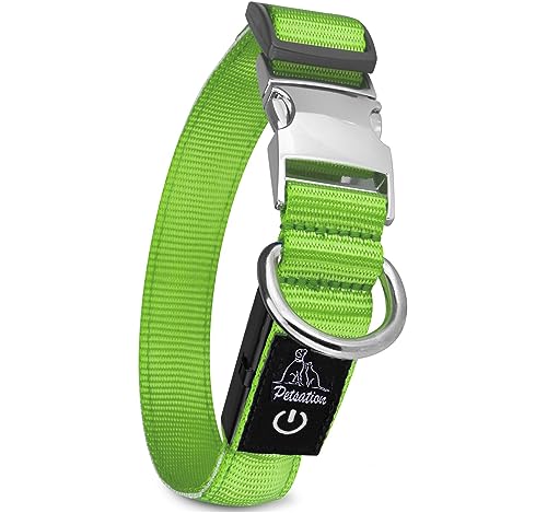Petsation Leuchthalsband für Hunde [Das Original] Leuchtendes LED Hundehalsband spazieren gehen auch im Dunkeln Lange Akkulaufzeit – Sicher Dank hochwertigem Metallverschluss (Grün, L (48-60 cm)) von Petsation