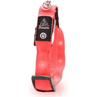 Petsation leuchtendes Katzenhalsband S rot von Petsation