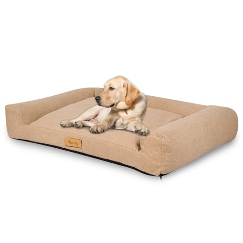 Petsen Personalisierte Hundebett - Grosse Große Mittelgroße Hunde - Hundekissen – Hundekörbchen - Hundematte mit Gravieren Namen (Boucle Beige, L 100 x B 65 x H 18 cm) von Petsen