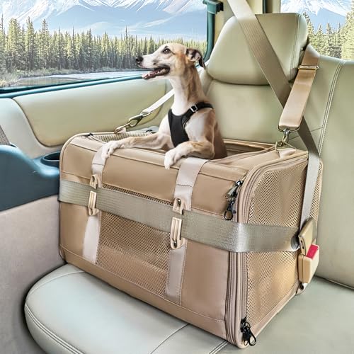 PETSFIT Transporttasche für kleine Hunde, große Katzentragetasche mit patentierter Schnalle und weicher Polsterung, weiche Seiten, Haustier-Tragetasche für Welpen, ideal für Autofahrten bis zu 9 kg von Petsfit