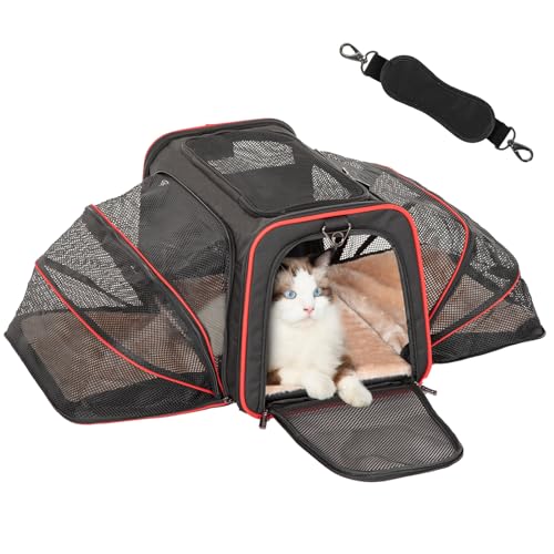 Petsfit Erweiterbare Transporttasche für Katzen, groß, für 2 Katzen, weiche Seiten, 48,3 x 30,5 x 30,5 cm, 2 Erweiterungen für zusätzlichen Komfort, geeignet für Haustiere bis zu 6,8 kg, Schwarz von Petsfit