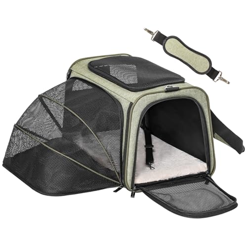 Petsfit Faltbarer Katzentransportbox Katze und Hund, erweiterbare Flugtasche Transporttasche Hundetragetasche mit Schultergurt, Grün, L Petsfit Faltbarer Katzentransportbox Katze und Hund, erweiterbare Flugtasche Transporttasche Hundetragetasche mit Schultergurt, Grün, L von Petsfit