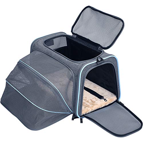 Petsfit Faltbarer Transporttasche Katze und Hund,Katzentransportbox Hundetragetasche erweiterbare Flugtasche Oxford Gewebe mit Schultergurt für Katze und Hund von Petsfit