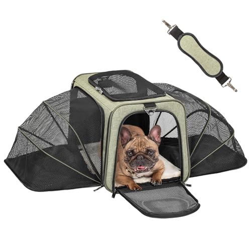 Petsfit Faltbarer Transporttasche Katze und Hund,Katzentransportbox Hundetragetasche erweiterbare Flugtasche Oxford Gewebe mit Schultergurt für Katze und Hund Petsfit Faltbarer Transporttasche Katze und Hund,Katzentransportbox Hundetragetasche erweiterbare Flugtasche Oxford Gewebe mit Schultergurt für Katze und Hund von Petsfit