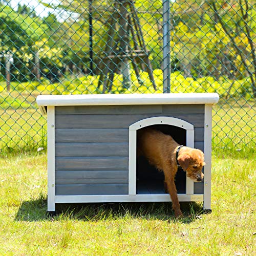 Petsfit Hundehütte für draußen, Hundehütte mit abnehmbarem Boden für einfache Reinigung, isoliertes Holzhaus für draußen, Steildach, kleines Versteck, 78 x 53 x 58 cm (klein) von Petsfit