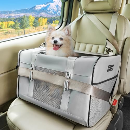 Petsfit Transportbox Katze für Auto, Katzentransportbox mit 2 Patent-Schnallen Transportbox Hund genügend Platz mit weichen Kissen, Tragetasche für Katzen und kleine Hunde, Grau Petsfit Transportbox Katze für Auto, Katzentransportbox mit 2 Patent-Schnallen Transportbox Hund genügend Platz mit weichen Kissen, Tragetasche für Katzen und kleine Hunde, Grau von Petsfit