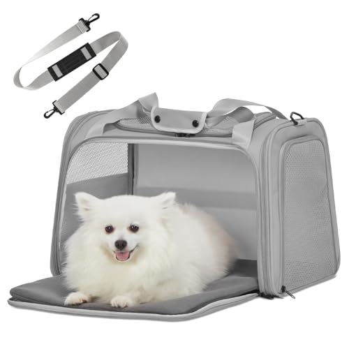 Petsfit Transportbox Katze Hund,Faltbare Tragetasche Hundetasche für Katze kleine Hund,tragbare Hunde Reisetasche für Hunde mit Schultergurt und expandierbare Betteinlage,L,Grau von Petsfit