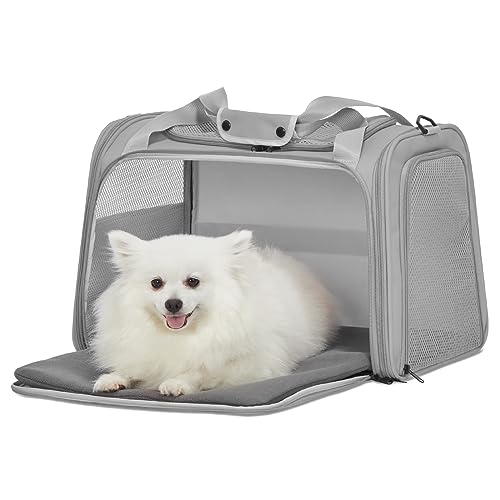 Petsfit Transportbox Katze Hund,Faltbare Tragetasche Hundetasche für Katze kleine Hund,tragbare Hunde Reisetasche für Hunde mit Schultergurt und expandierbare Betteinlage,L,Grau von Petsfit
