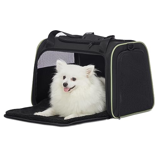 Petsfit Transportbox Katze Hund,Faltbare Tragetasche Hundetasche für Katze kleine Hund,tragbare Hunde Reisetasche für Hunde mit Schultergurt und expandierbare Betteinlage,L,Schwarz von Petsfit
