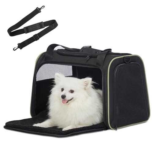 Petsfit Transportbox Katze kleine Hunde leicht Hundetasche für kleine Hunde Katzen Transporttasche Hundetragetasche,Hunde Tragetasche Hund mit Schutzgurt & erweiterbare Matte, L/Schwarz Petsfit Transportbox Katze kleine Hunde leicht Hundetasche für kleine Hunde Katzen Transporttasche Hundetragetasche,Hunde Tragetasche Hund mit Schutzgurt & erweiterbare Matte, L/Schwarz von Petsfit