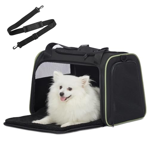 Petsfit Transportbox Katze Hund,Faltbare Tragetasche Hundetasche für Katze kleine Hund,tragbare Hunde Reisetasche für Hunde mit Schultergurt und expandierbare Betteinlage,L,Schwarz von Petsfit