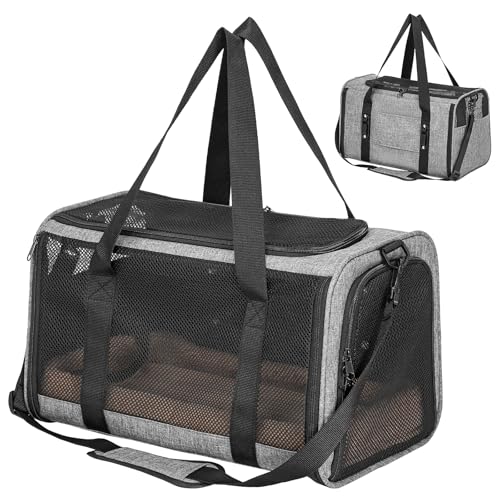 Petsfit Transportbox Katze Hundebox Auto Katzentransportbox Transportbox Hund - Faltbare Tragetasche mit 2 Patent-Schnallen für Autositz, 4-seitigem Netz & Abnehmbarem Kissen, S/Grau Petsfit Transportbox Katze Hundebox Auto Katzentransportbox Transportbox Hund - Faltbare Tragetasche mit 2 Patent-Schnallen für Autositz, 4-seitigem Netz & Abnehmbarem Kissen, S/Grau von Petsfit