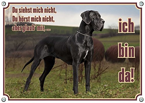 Hundeschild Deutsche Dogge - Great Dane - DU SIEHST MICH NICHT, , DIN A4 von Petsigns