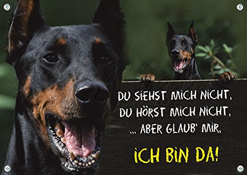 Hundeschild Dobermann Pinscher - stabiles Schild aus 1,5 mm Metallplatte - bis DIN A3 bestallbar, 1. DIN A5 von Petsigns