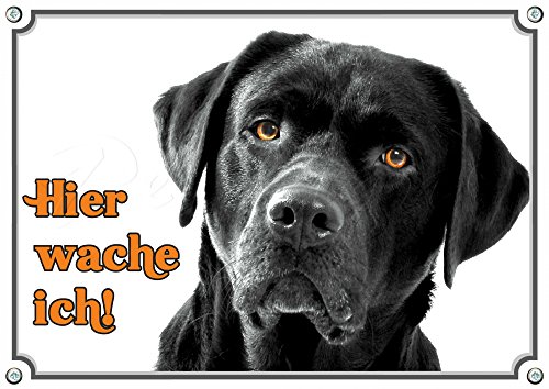 Hundeschild schwarzer Labrador Retriever - Premium Alu Schild - rostfrei, 1. DIN A5 von Petsigns
