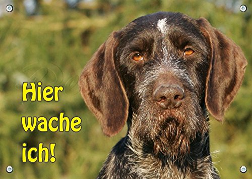 Petsigns Deutsch Drahthaar - Hundewarnschild - Exklusives Alu Schild - 1A Qualität, 1. DIN A5 von Petsigns