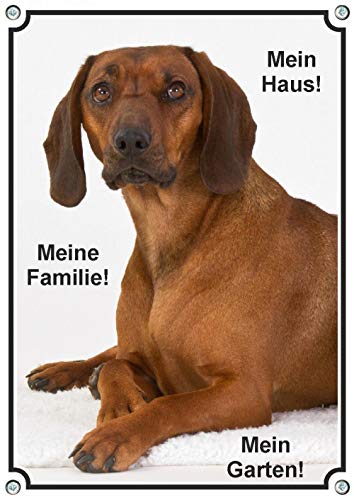Petsigns Hundeschild Bayerischer Gebirgsschweißhund - uv-beständiges Metallschild, 2. DIN A4 von Petsigns