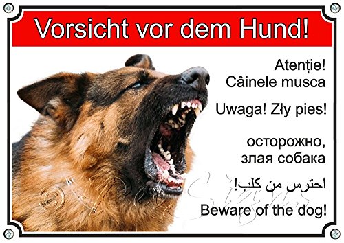 Petsigns Hundeschild - Deutscher Schäferhund - Warnung in 6 Sprachen - wetterfest und beständig, DIN A4 von Petsigns