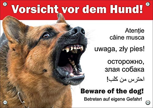 Petsigns Hundeschild - Deutscher Schäferhund - Warnung in 6 Sprachen - wetterfest und beständig, DIN A5 von Petsigns