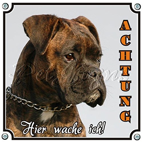 Petsigns Hundeschild Quadrat - Deutscher Boxer - TOP Hundeschild aus Metall, 2. 20 x 20 cm von Petsigns