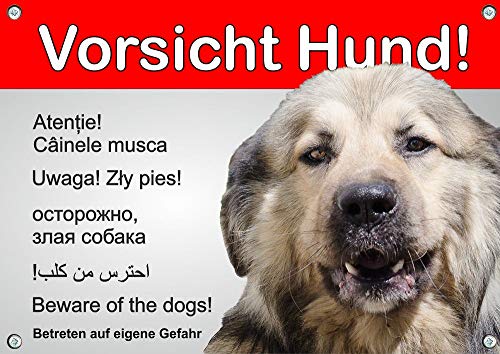 Petsigns Hundeschild - Sarplaninac - Warnung in 6 Sprachen - wetterfest und beständig, DIN A4 von Petsigns
