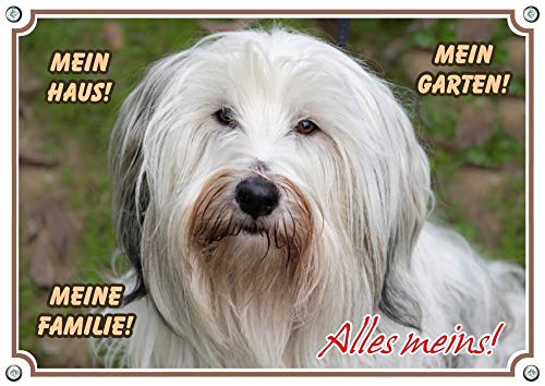 Petsigns Hundeschild - Tibet-Terrier - Exklusives uv-beständiges Metallschild, DIN A4 von Petsigns