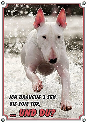 Petsigns Warnschild vom weissen Bullterrier - Hundeschild aus Stabiler 1,5 mm Metallplatte - TOP, 2. DIN A4 von Petsigns