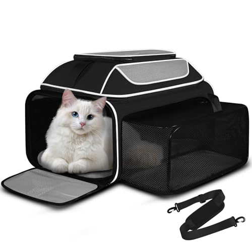 Petskd Erweiterbare Haustier-Tragetasche oben und an der Seite, 48,3 x 33 x 22,9 cm, Southwest Allegiant Airlines genehmigt, weiche Seiten-Tragetasche für kleine Hunde unter 5,4 kg und große Katzen Petskd Erweiterbare Haustier-Tragetasche oben und an der Seite, 48,3 x 33 x 22,9 cm, Southwest Allegiant Airlines genehmigt, weiche Seiten-Tragetasche für kleine Hunde unter 5,4 kg und große Katzen von Petskd