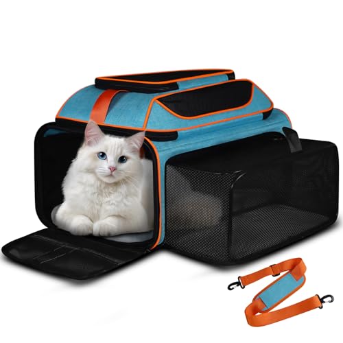 Petskd Erweiterbare Haustier-Tragetasche oben und an der Seite, 48,3 x 33 x 22,9 cm, Southwest Allegiant Airlines genehmigt, weiche Seiten-Tragetasche für kleine Hunde unter 5,4 kg und große Katzen Petskd Erweiterbare Haustier-Tragetasche oben und an der Seite, 48,3 x 33 x 22,9 cm, Southwest Allegiant Airlines genehmigt, weiche Seiten-Tragetasche für kleine Hunde unter 5,4 kg und große Katzen von Petskd