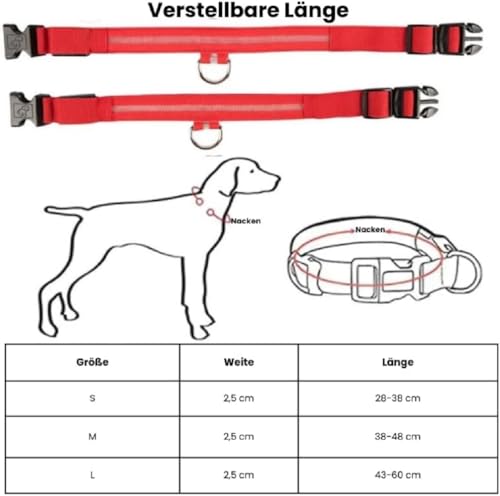 Sichtbarkeitshalsband für Hunde, aufladbar, universell passend, für kleine mittlere und große Hunde (S (28-38cm)) von Petsnackss