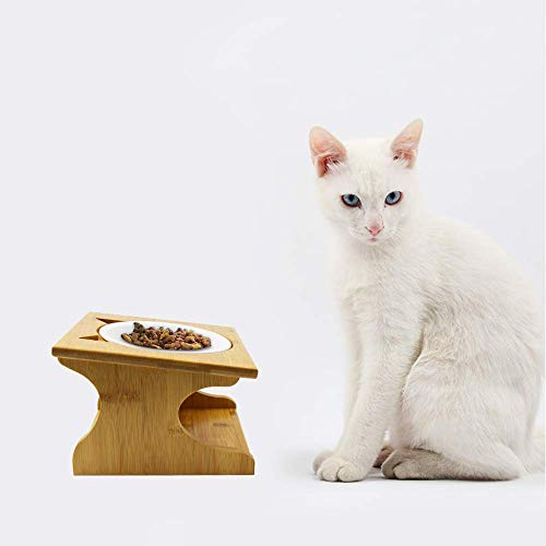 Petsoigné Katzennäpfe Hundenapf Hoch Katzenschüssel Set Keramik und Edelstahl mit Holzunterstützung Für Katzen Jeden Alters und Welpen (1 Napf, Keramik) von Petsoigné