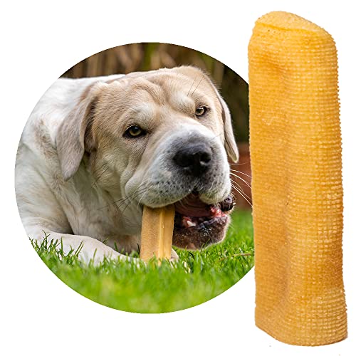 Petsoo® schmackhafter Käsekauknochen aus Hartkäse XL für große Hunde - Kauknochen im Churpi Style aus norddeutscher Kuhmilch Kaukäse Kaustab (1) von PETSOO