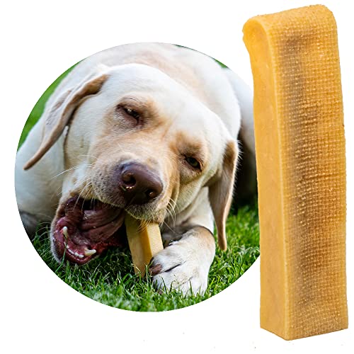 Petsoo® schmackhafter Käsekauknochen aus Hartkäse XXL für große Hunde - Kauknochen im Churpi Style aus norddeutscher Kuhmilch Kaukäse Kaustab (5) von PETSOO