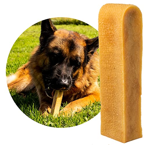 Petsoo® schmackhafter Käsekauknochen aus Hartkäse XXXL für große Hunde und Hunde mit extremer Beißkraft - Kauknochen im Churpi Style aus norddeutscher Kuhmilch Kaukäse Kaustab (1) von PETSOO