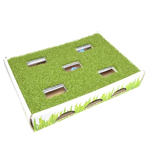 Catstages Gras Patch Jagdbox Katzenspielzeug von Catstages