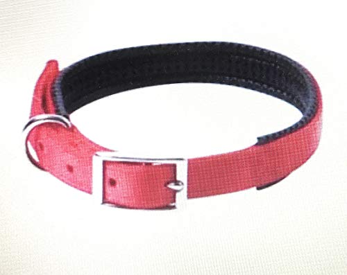 Pettribe Gepolstertes Hundehalsband, 2,5 cm, Rot von Pet Prime