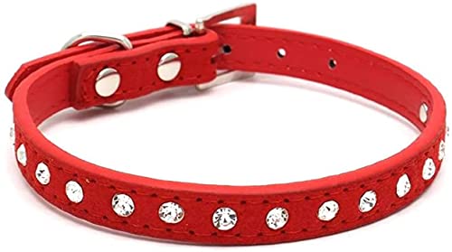 Hundehalsband, Kristall, Strasssteine, PU-Leder, für Welpen, Katzen, Halsband, Rot, XXS Hundehalsband, Kristall, Strasssteine, PU-Leder, für Welpen, Katzen, Halsband, Rot, XXS von Pety Pet