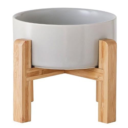 Petygooing Erhöhter Keramik-Hundenapf für kleine Rassen, Hundefutter, Wassernapf mit Ständer, Haustier-Futternapf mit rutschfestem Gummi für Katzen und kleine Hunde, Welpen, 382 ml, Grau, 1,7 Tassen Petygooing Erhöhter Keramik-Hundenapf für kleine Rassen, Hundefutter, Wassernapf mit Ständer, Haustier-Futternapf mit rutschfestem Gummi für Katzen und kleine Hunde, Welpen, 382 ml, Grau, 1,7 Tassen von Petygooing