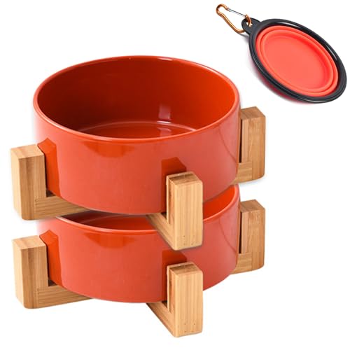 Petygooing Futternapf für Hunde und Katzen, Keramik, mit Ständer für Futter und Wasser, modern, niedlich, schwer, für Katzen, kleine Hunde (1,7 Tassen) und mittelgroße Hunde (3,6 Tassen), Rostrot, 800 von Petygooing