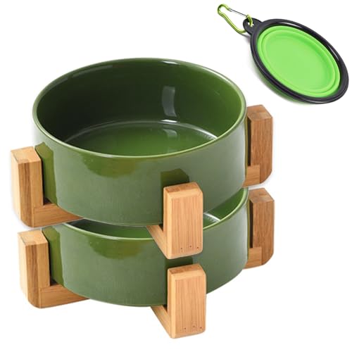 Petygooing Keramik-Hundenapf-Set mit Ständer, Futter- und Wassernäpfe für Katzen und Hunde, mittlere Größe, rutschfest, 200 ml, 800 ml, Rostgrün Petygooing Keramik-Hundenapf-Set mit Ständer, Futter- und Wassernäpfe für Katzen und Hunde, mittlere Größe, rutschfest, 200 ml, 800 ml, Rostgrün von Petygooing