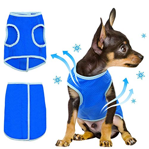 Pet Cooling Vest Cool Down Vest für den Sommer, Ice Vest für kleine, mittlere und große Hunde (Size : S) von Petyoung