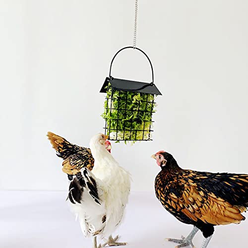 Petyoung Hühner-Leckerli-Korb, Gemüsefutterautomat, Käfig-Hängespielzeug für Hühner, Hühnerstall, Geflügel, Kaninchen von Petyoung